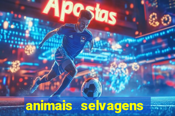 animais selvagens fotos e nomes